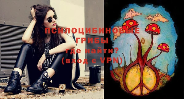 ПСИЛОЦИБИНОВЫЕ ГРИБЫ Медногорск