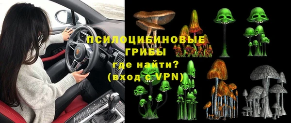 ПСИЛОЦИБИНОВЫЕ ГРИБЫ Мегион