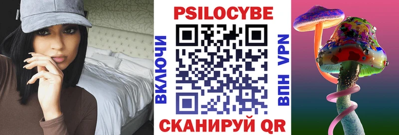 Псилоцибиновые грибы Psilocybe  Купить где  Учалы 